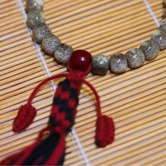 Natural Colorful Bodhi Seed Bracelet - Picture 4 of 6
